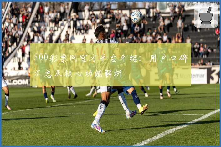 500彩票网官方平台介绍:用户口碑汇总及核心功能解析